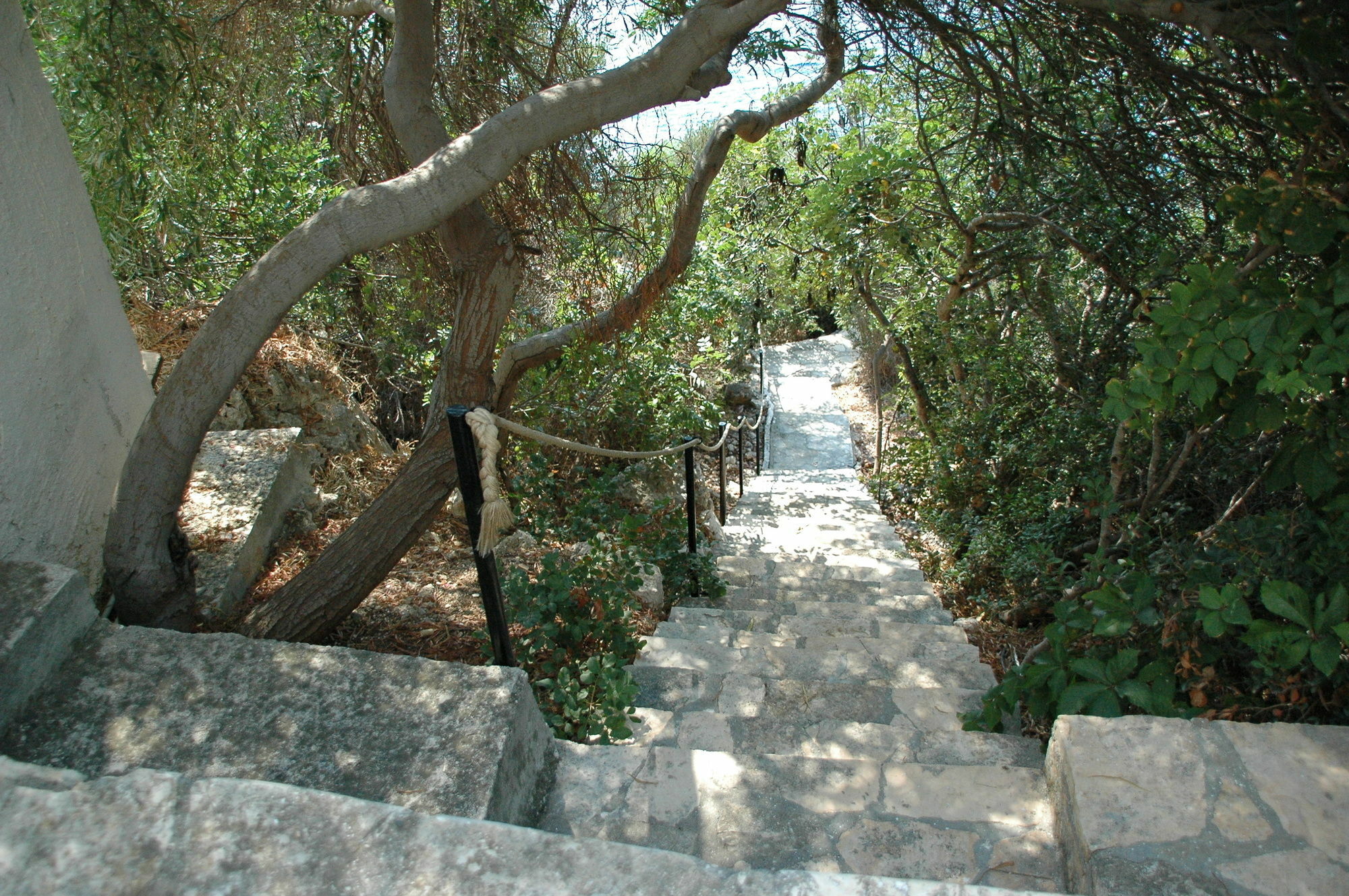 Arpia Hotel Kaş Exterior photo